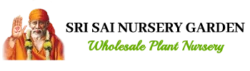 Best Ecommerce Website Development Company In Chennai