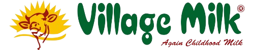 Best Web Design Company In Chennai